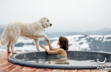 Can My Dog Use the Hot Tub?