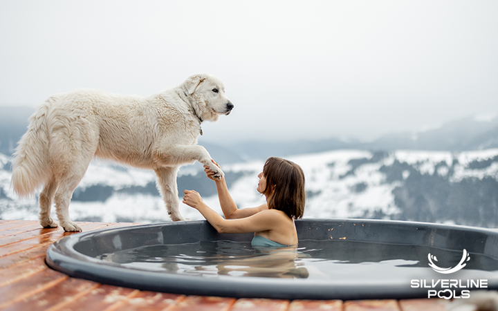 Can My Dog Use the Hot Tub?